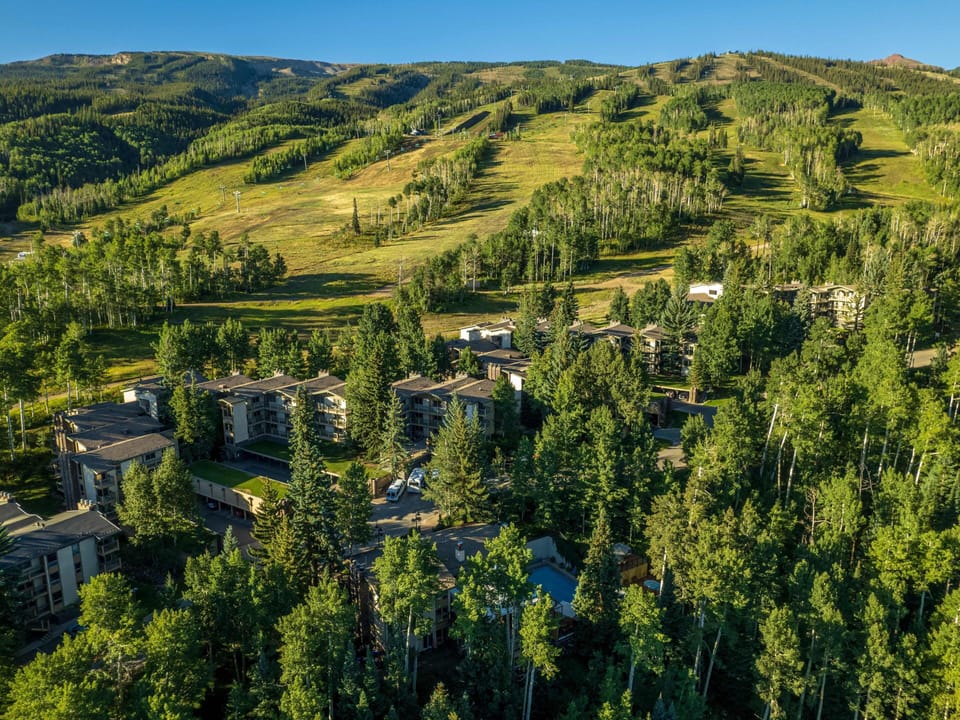 Summer at Top of the Village