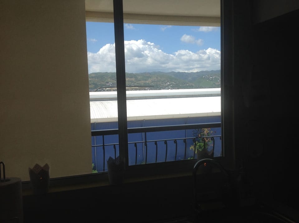 kitchen window view

