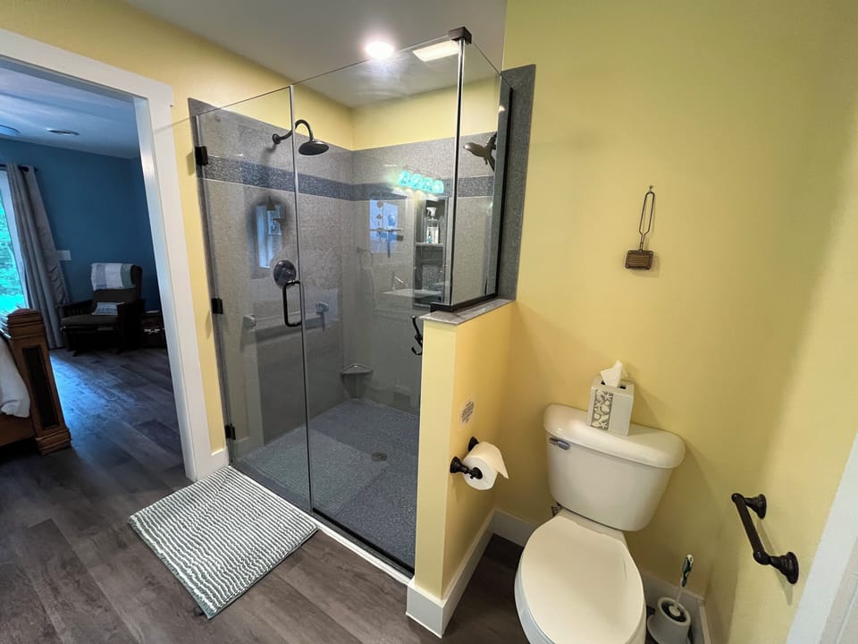 Walk in shower with double shower heads and grab bars for safety