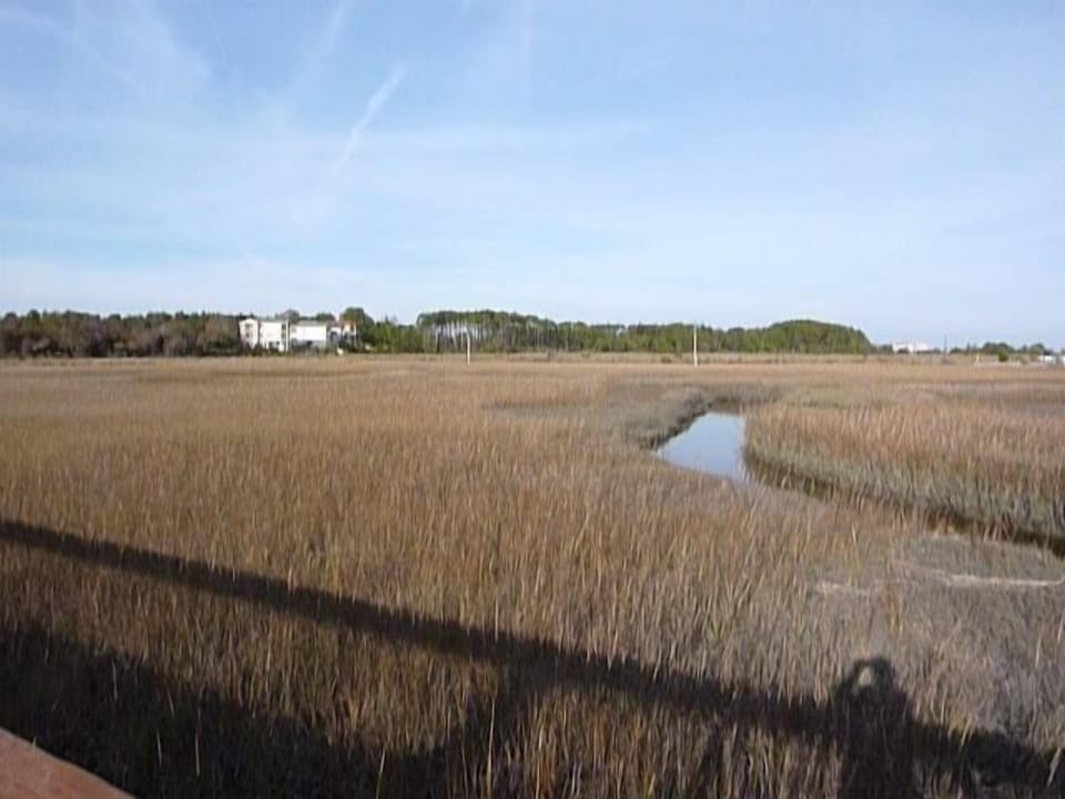 The Marsh View From the Boardwalk.  