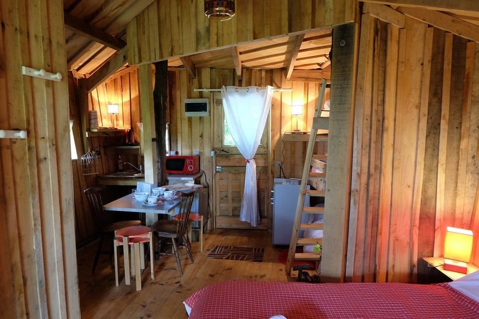 Tree House, Terrace | Living area