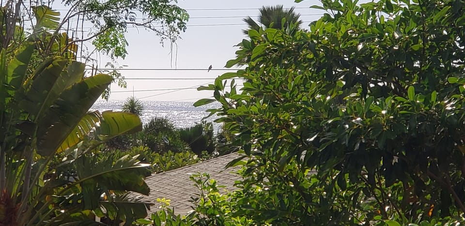 View, view, view from living room