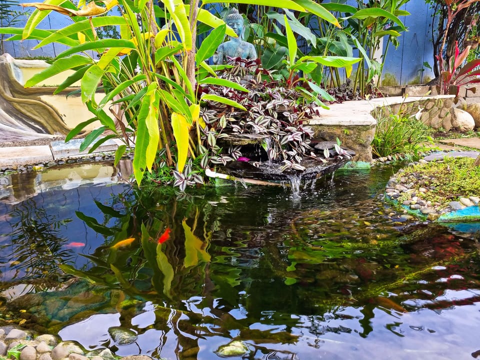 Casa Jardin Del Mango Bed and Breakfast in San Jose