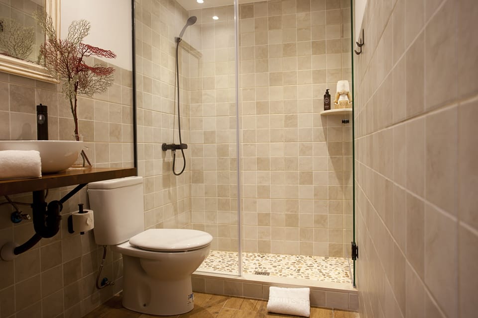 Shower, designer toiletries, hair dryer, towels