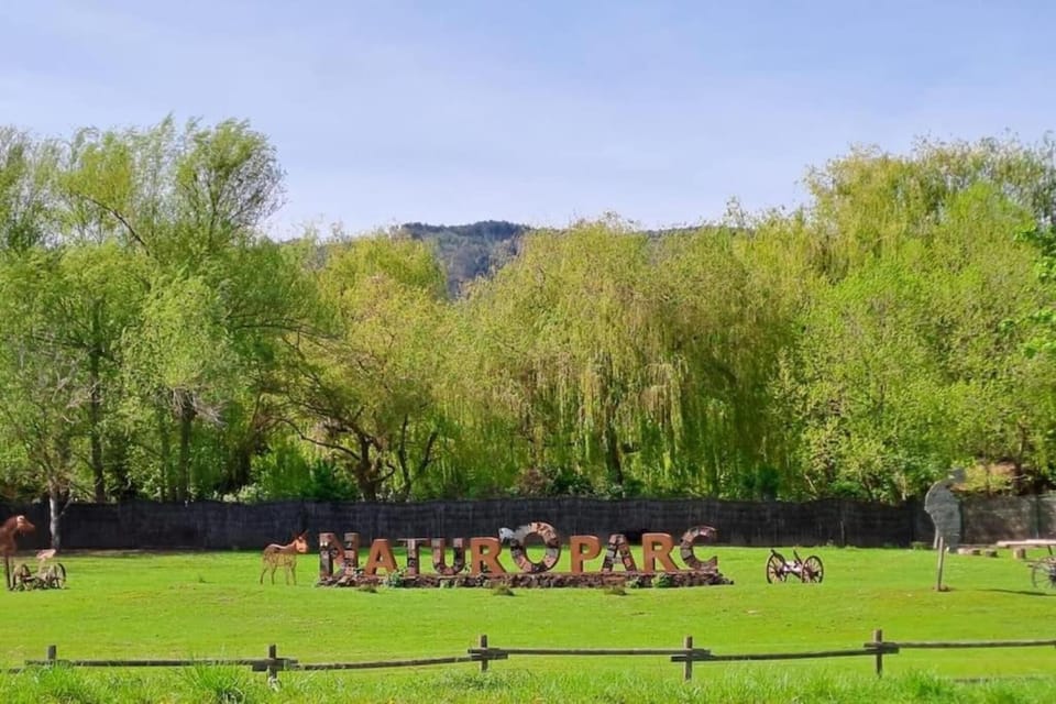 Surroundings [summer] (1-5 km)