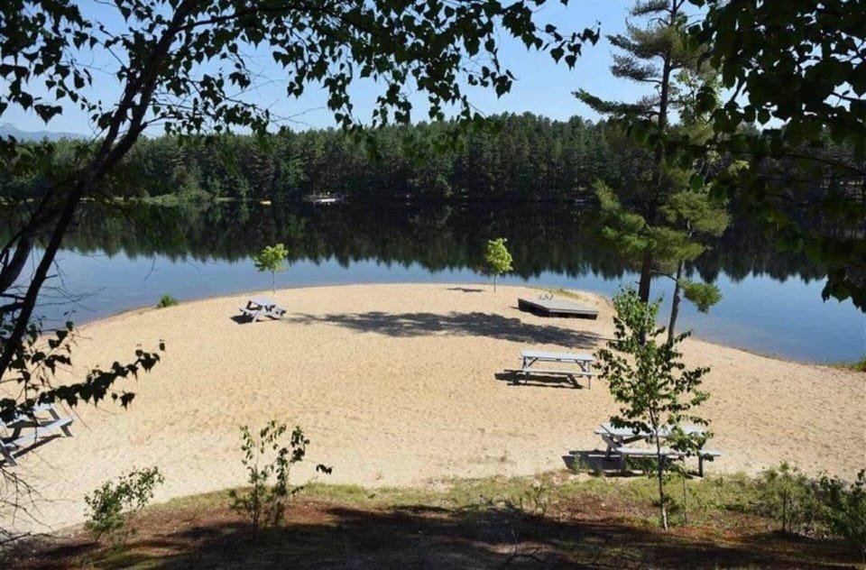 Beach Area