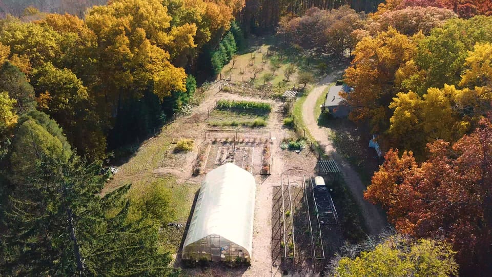 View of Farm fields and surrounding woods with amazing Fall colors.