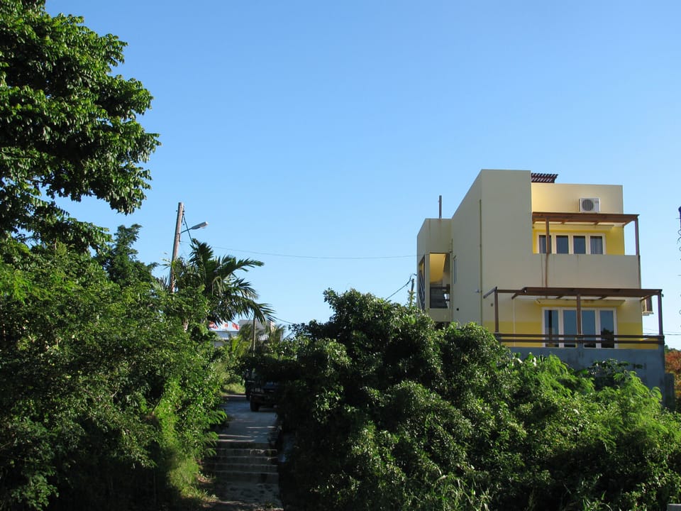 Our place is nestled amongst mature tropical fruit trees overlooking the Ocean