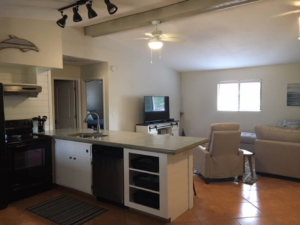 kitchen and living area 1