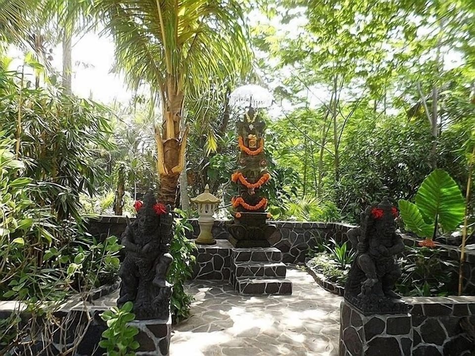 Eco bamboo house in the rice fields, 2BR