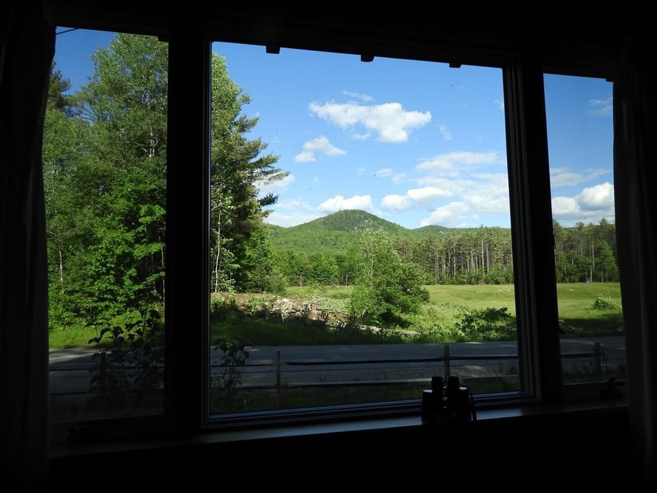 View from picture window