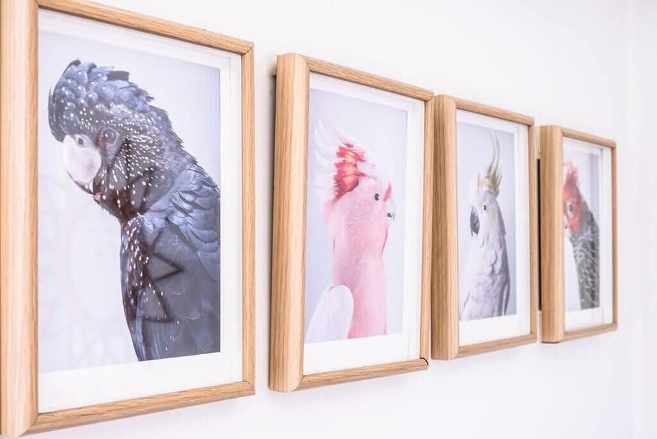 Plenty of colourful art work to capture  the senses.