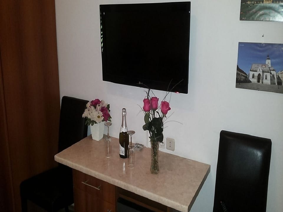 Family Apartment, Kitchen, Garden View | Desk, laptop workspace, blackout drapes, free WiFi