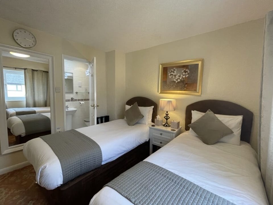 Standard Twin Room, Multiple Beds, Non Smoking, Mountain View | Soundproofing, iron/ironing board, free WiFi, bed sheets