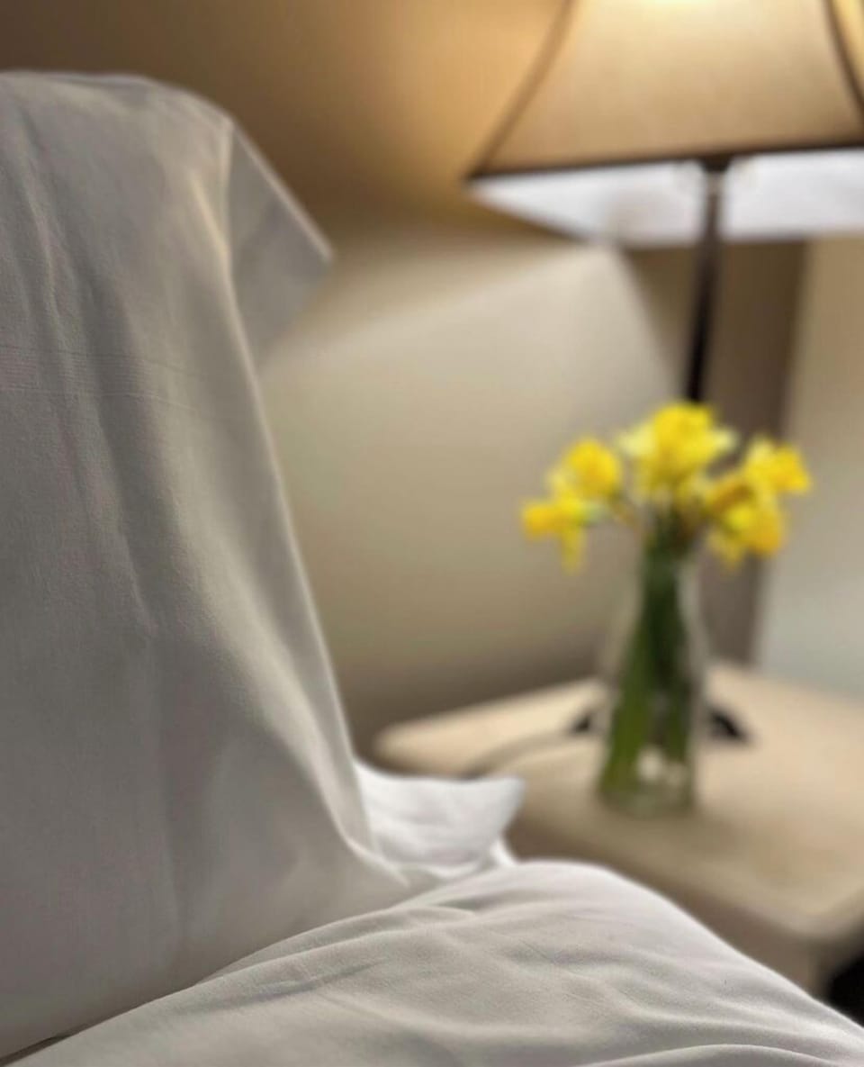 Standard Double Room, 1 Bedroom | Desk, iron/ironing board, free WiFi