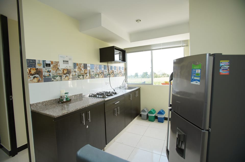 Basic Apartment, 2 Bedrooms, Non Smoking | Private kitchen | Full-size fridge, microwave, stovetop, coffee/tea maker