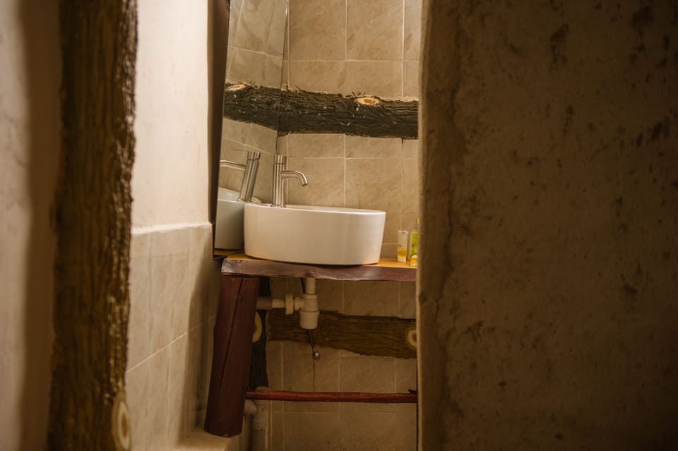Standard Single Room, 1 Bedroom, Garden View | Bathroom sink