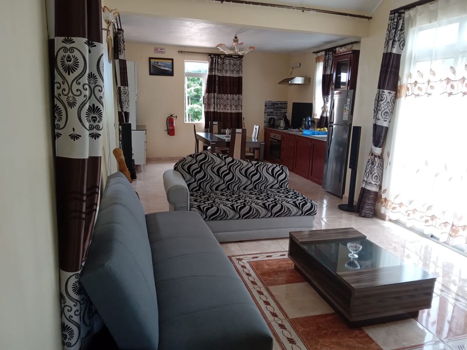 Apartment, 1 Bedroom, River View | Private kitchen | Full-size fridge, microwave, oven, stovetop