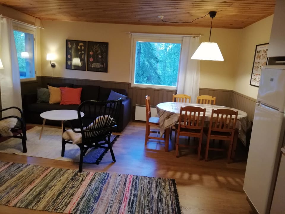 Basic Villa | Living area | Fireplace