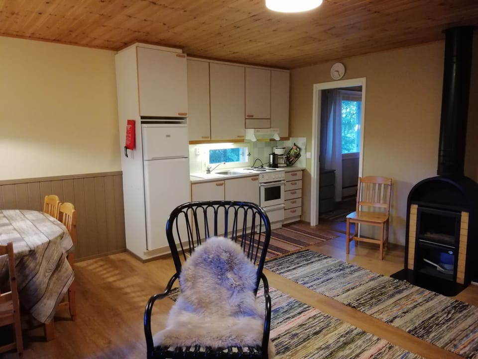 Basic Villa | Private kitchen | Fridge, microwave, oven, stovetop
