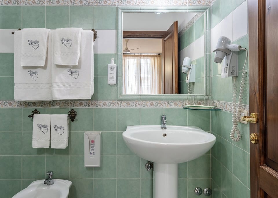 Shower, hair dryer, bidet