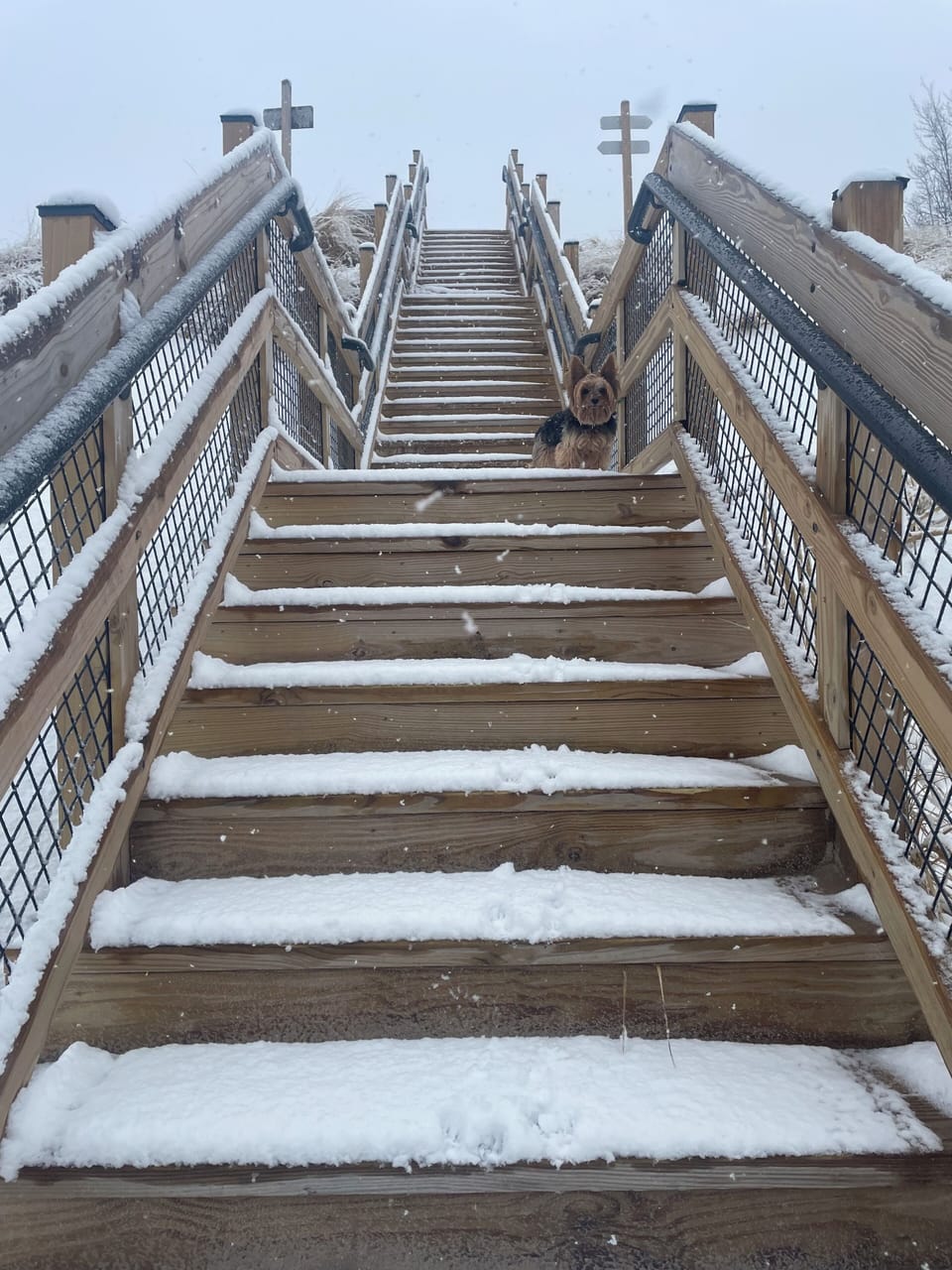 New steps to beach