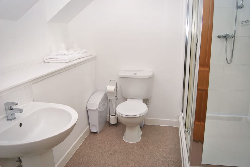 Twin Room, Private Bathroom | Bathroom | Shower, free toiletries, hair dryer, towels