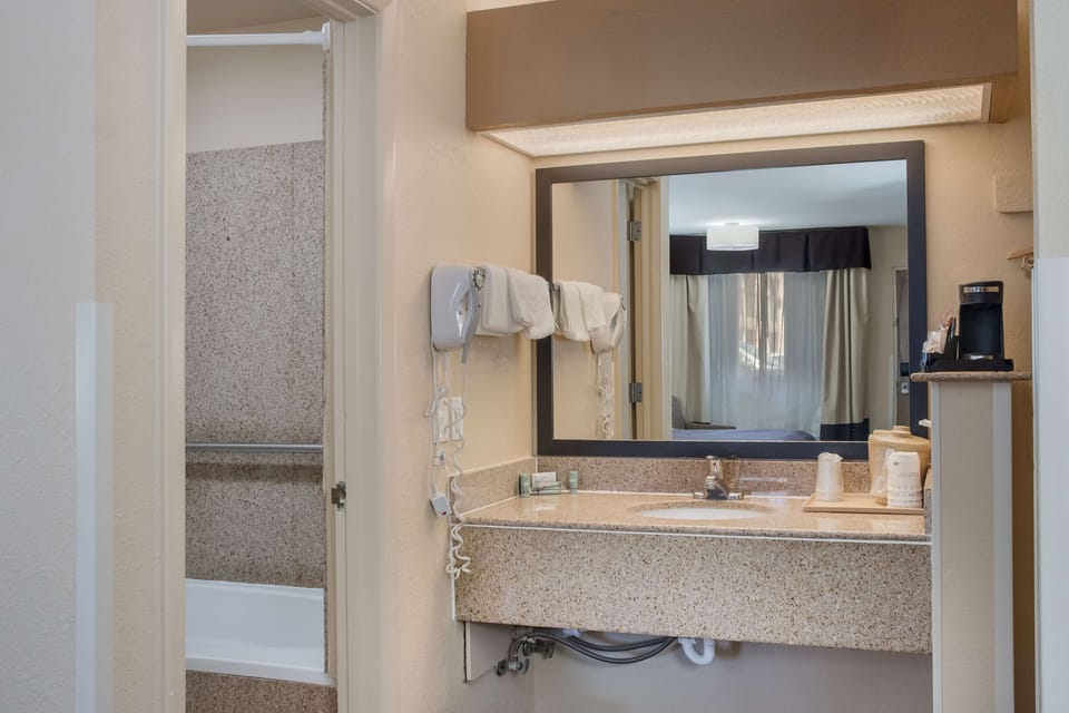 Standard Room, 1 King Bed, Non Smoking, Jetted Tub | Bathroom | Eco-friendly toiletries, hair dryer, towels, soap