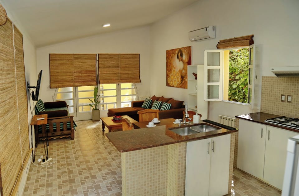 Superior Apartment | Living area | 32-inch flat-screen TV with cable channels, TV