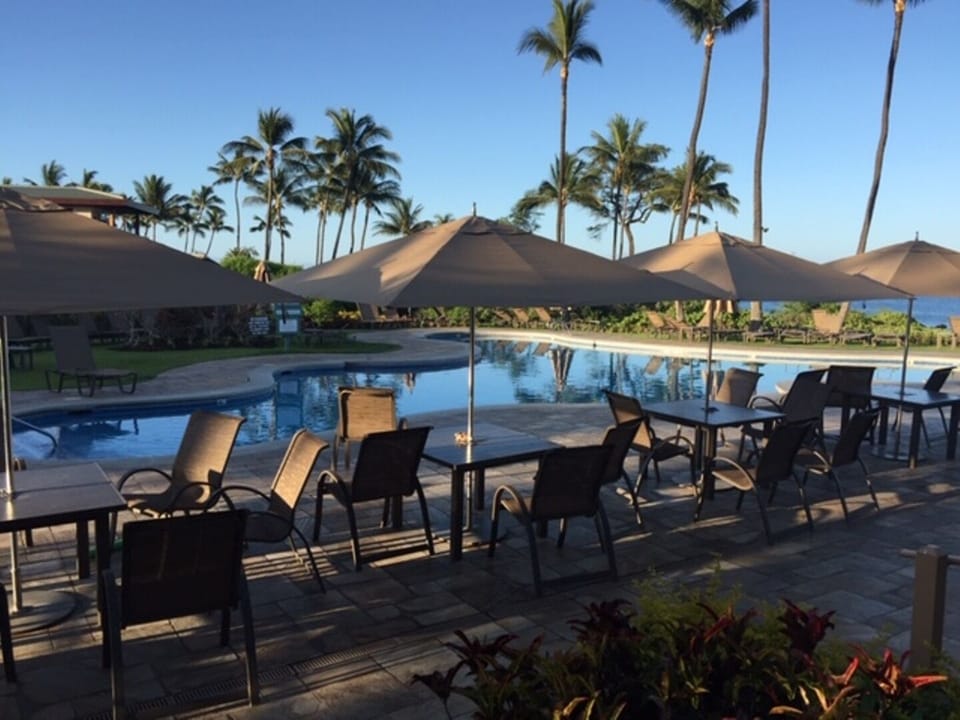 Main Pool