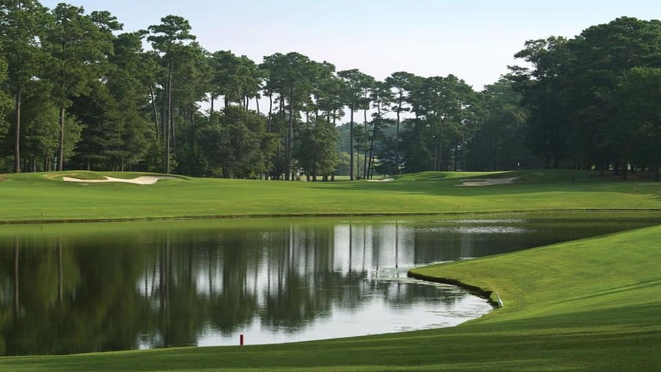 About 100 golf courses are available in the area! See concierge!