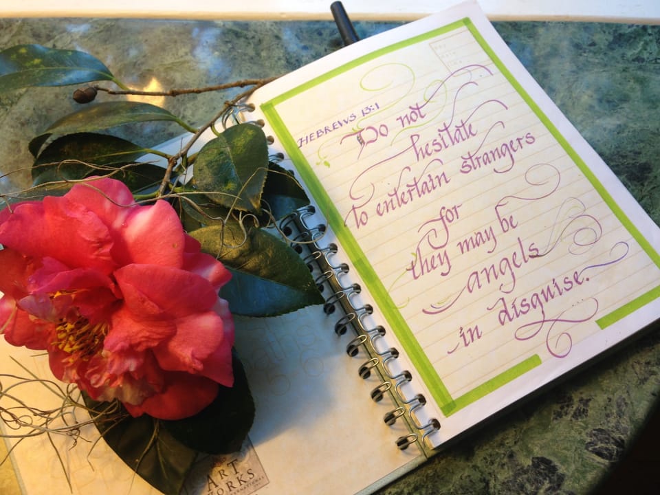 Guest House guest book to peruse, enjoy, gain information and add to.