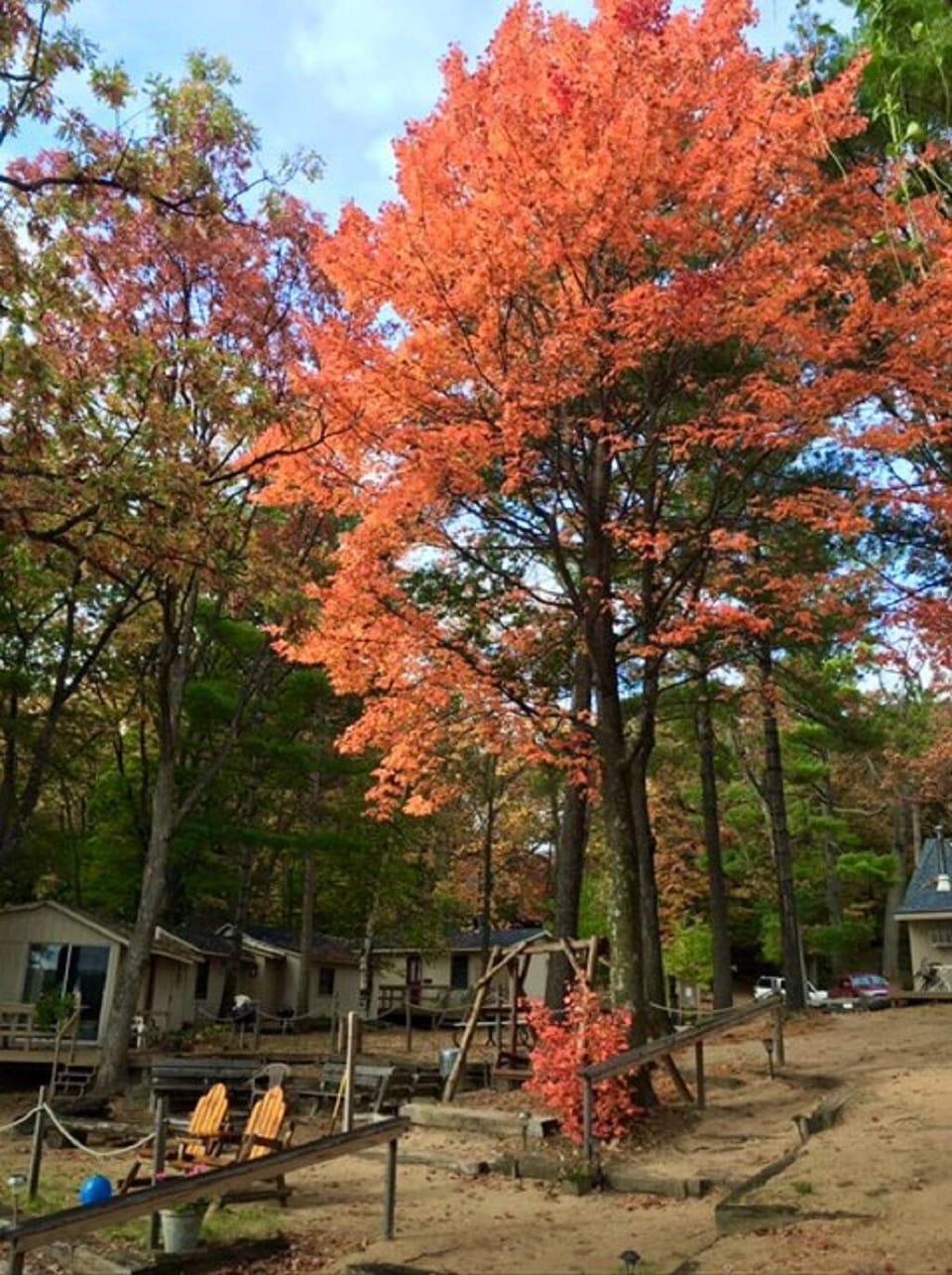 Common area in Fall