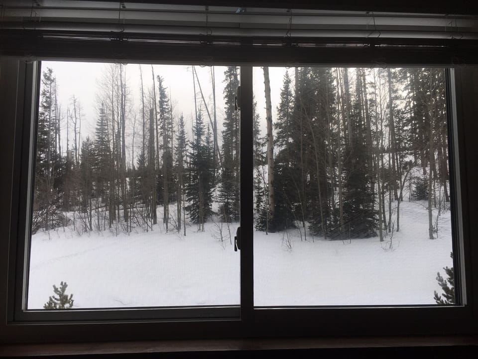 View from bedroom windows - watch deer, elk, moose, fox and other wildlife!