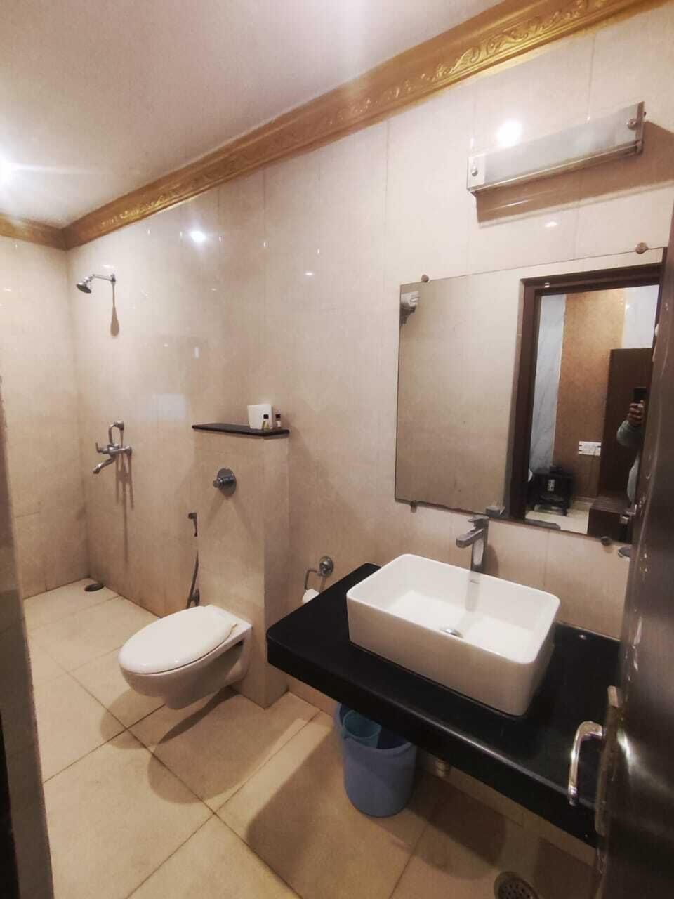 Standard Room | Bathroom | Shower, hydromassage showerhead, designer toiletries, hair dryer