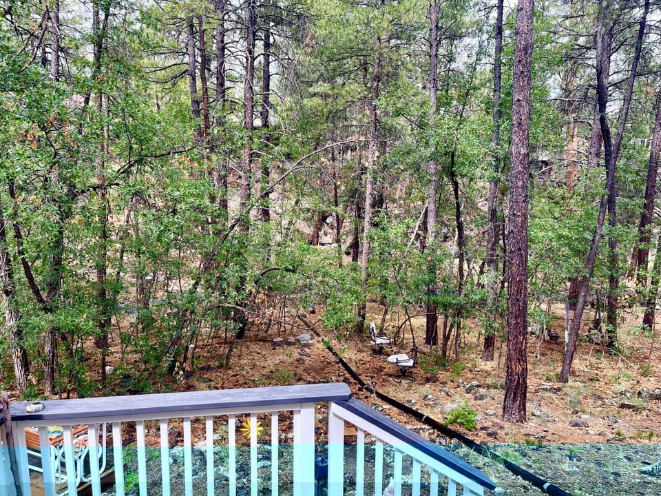 View from the back deck.