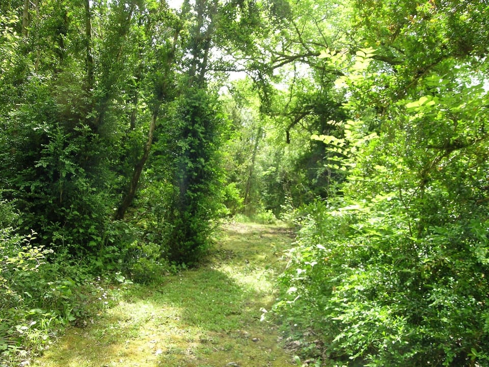 A "secret path" in the grounds leads to a clearing