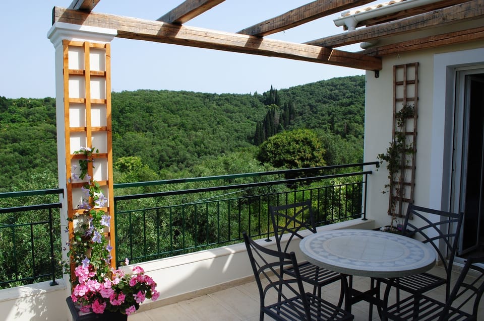 Swimming pool and terrace