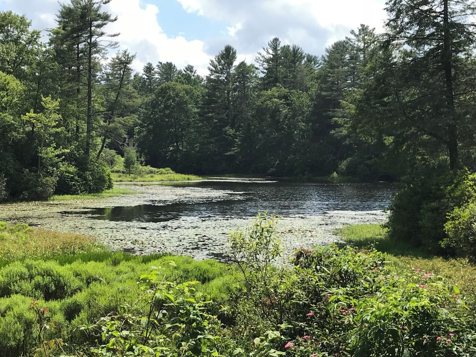Nature Center