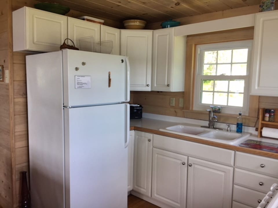 Kitchen sink and refrigerator