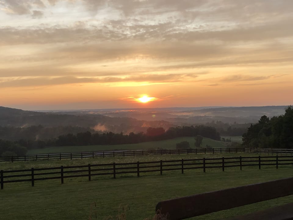 View from property