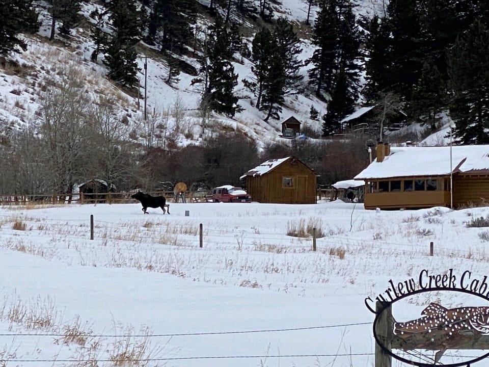 September 2020 - bring your camera, wildlife is everywhere!