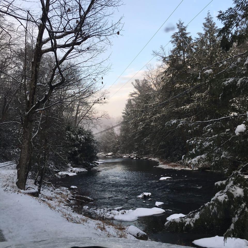 Winter wonderland 