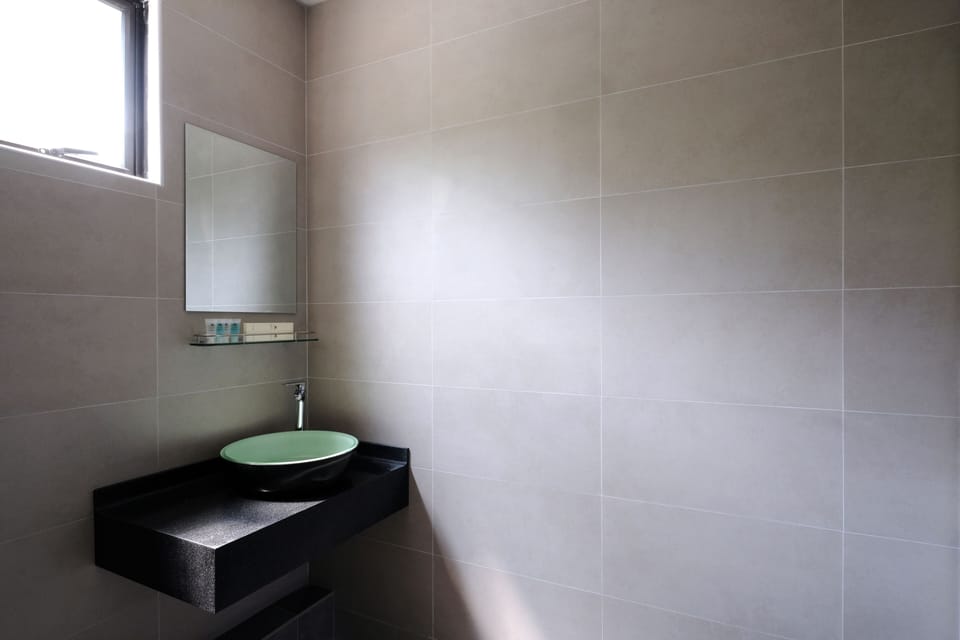 Shower, free toiletries, hair dryer (on request), bidet