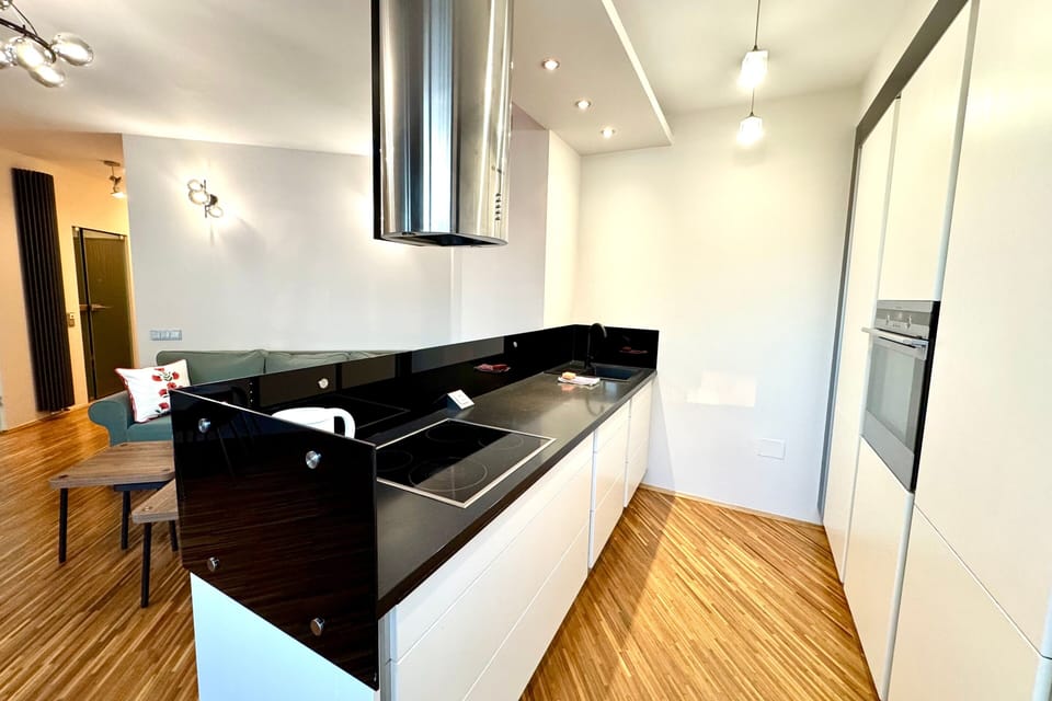 Premium Apartment, 1 Bedroom, Balcony, City View | Private kitchenette | Full-size fridge, oven, stovetop, dishwasher