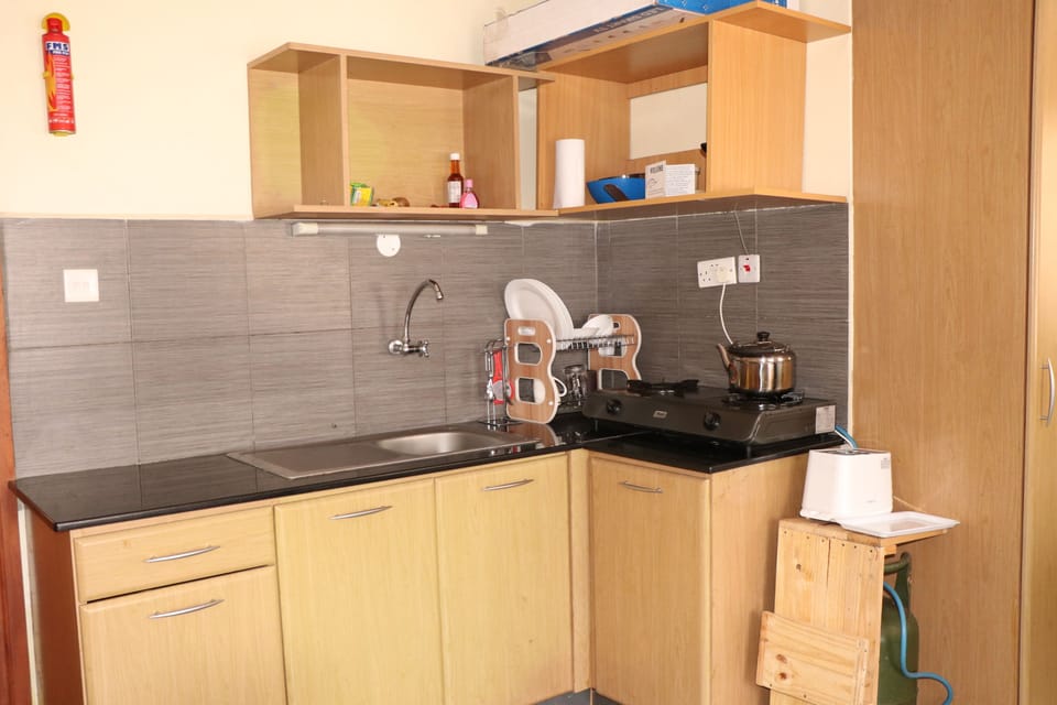 Comfort Apartment, 1 King Bed, Smoking, City View | Private kitchen | Fridge, microwave, electric kettle, cookware/dishes/utensils