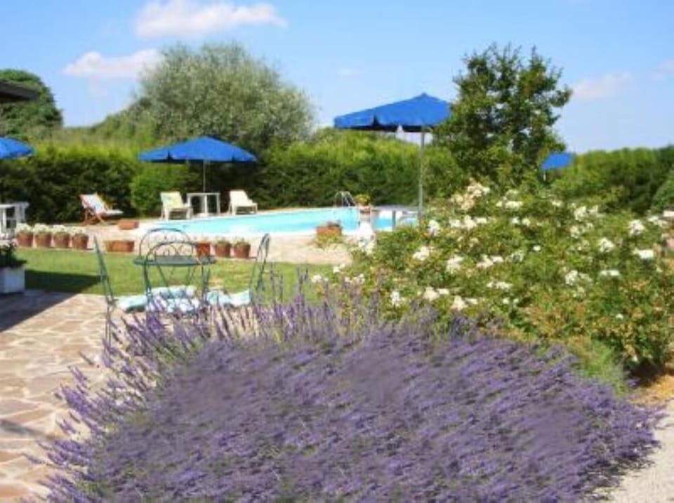 Garden, Park