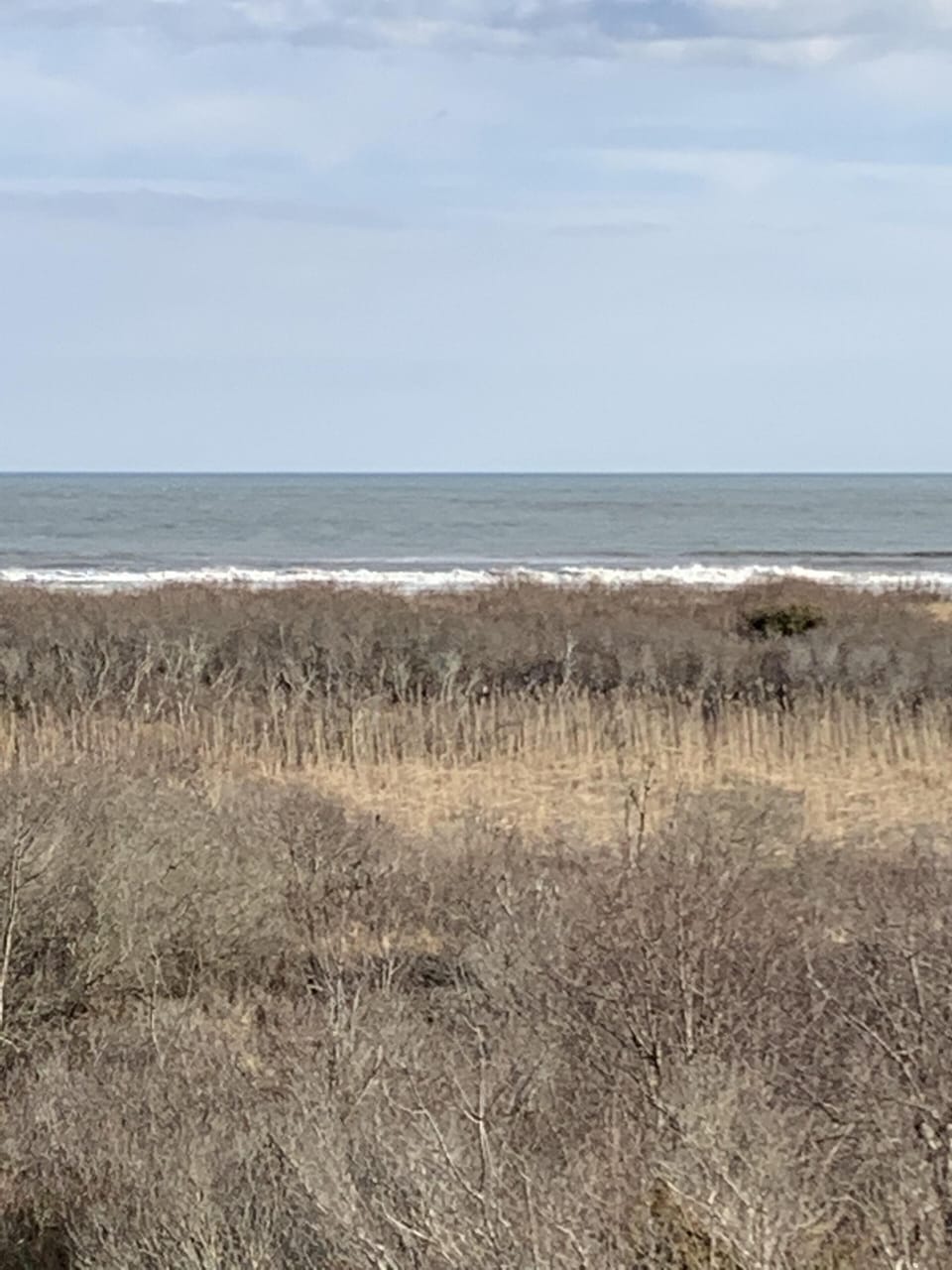 Beach view rear deck