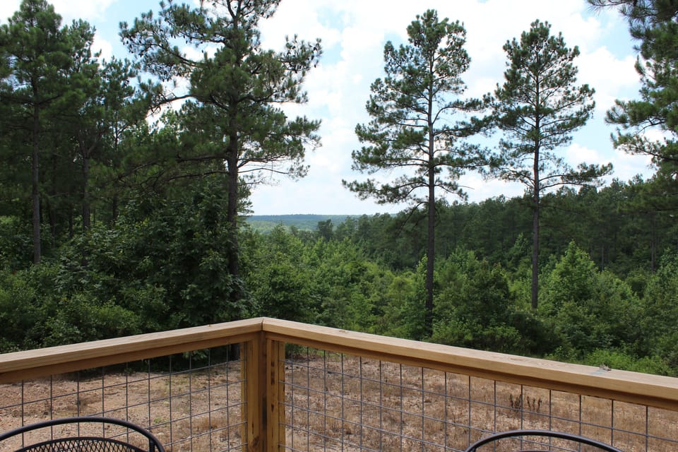 View from back deck