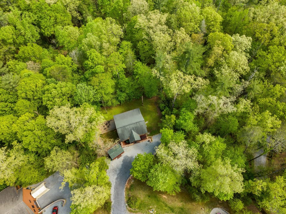 Owls Den Cabin